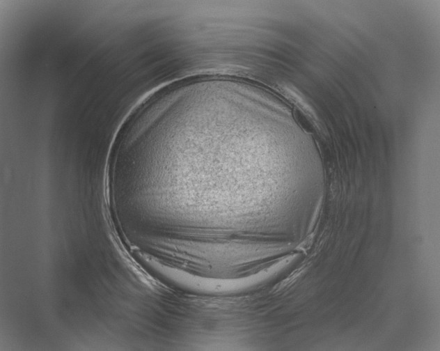 X0000069790940200606021409