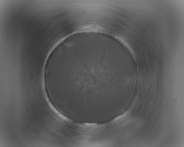 X0000069790941200606021409