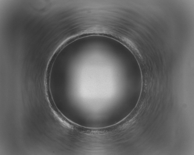 X0000069790942200606021409