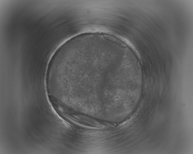 X0000069790943200606021409