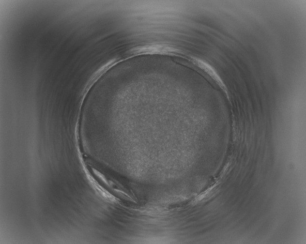 X0000069790946200606021409