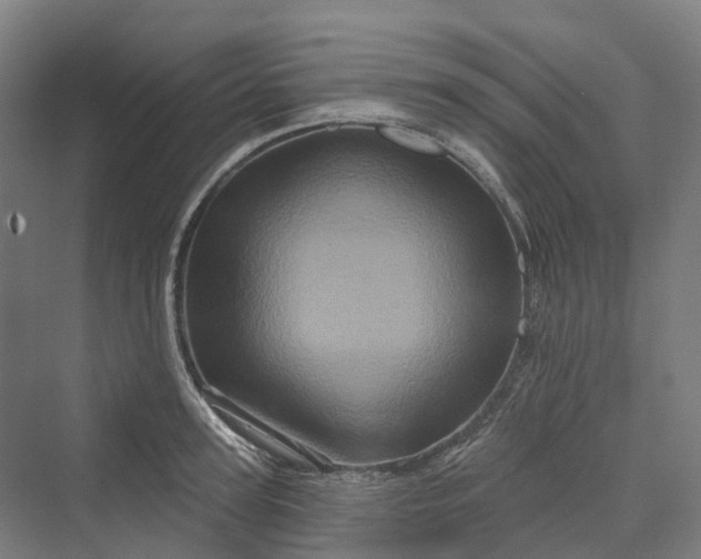 X0000069790947200606021409