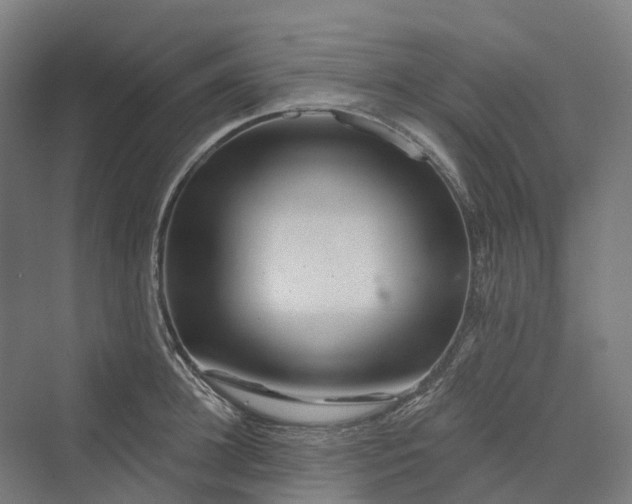 X0000069790948200606021410