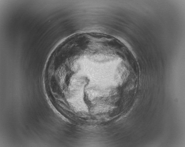 X0000069790949200606021410