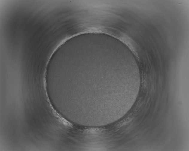 X0000069790950200606021410