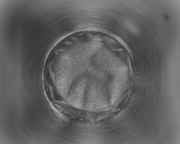 X0000069790951200606021410