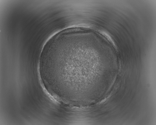 X0000069790952200606021410