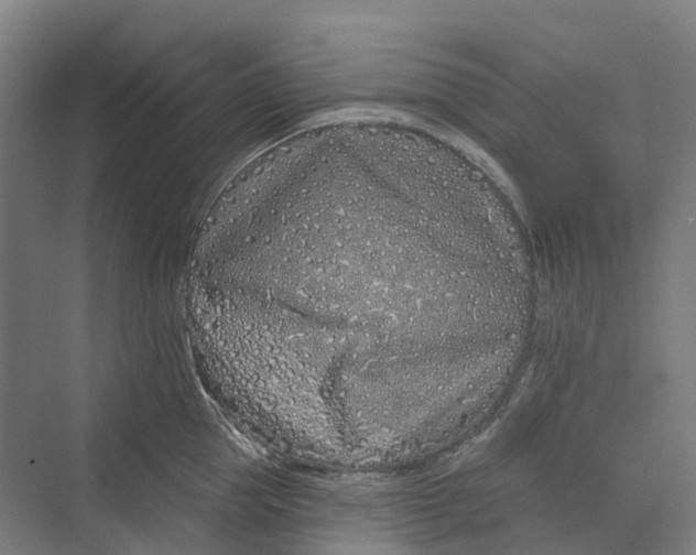 X0000069790953200606021410