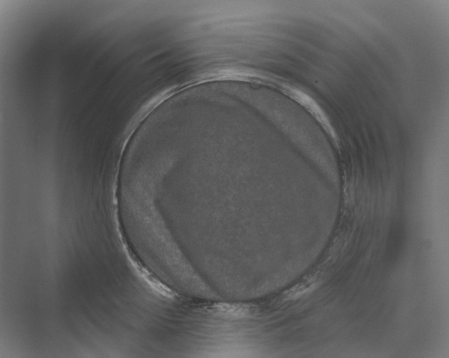 X0000069790954200606021410