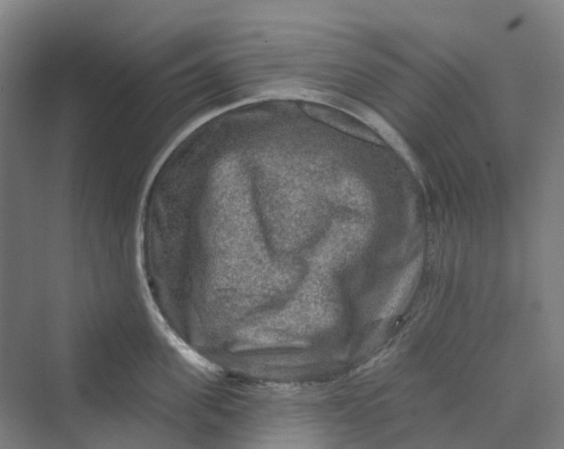 X0000069790955200606021410