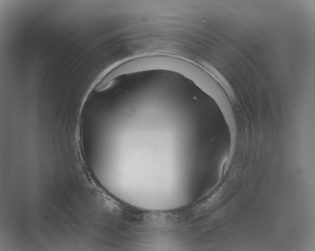 X0000069790956200606021410