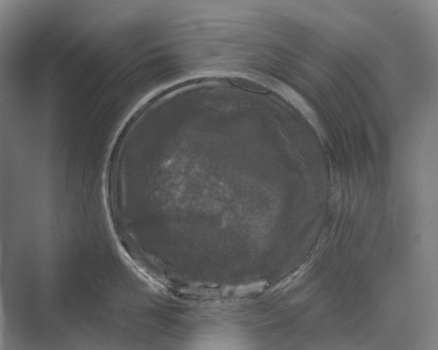 X0000069790958200606021410