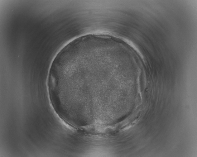 X0000069790959200606021410