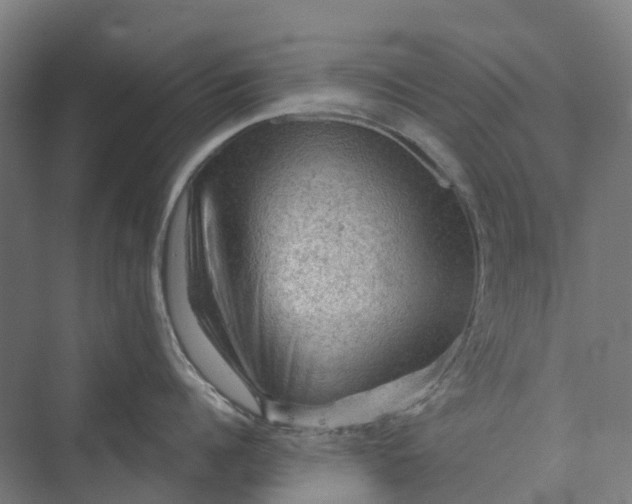 X0000069790960200606021410