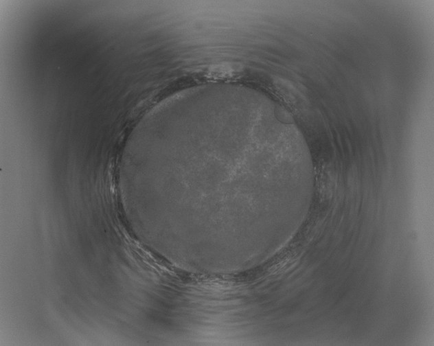 X0000069790962200606021409