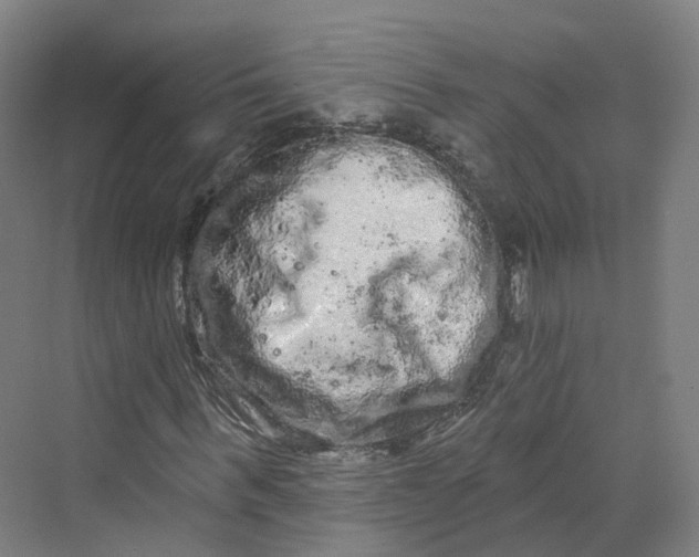 X0000069790963200606021409