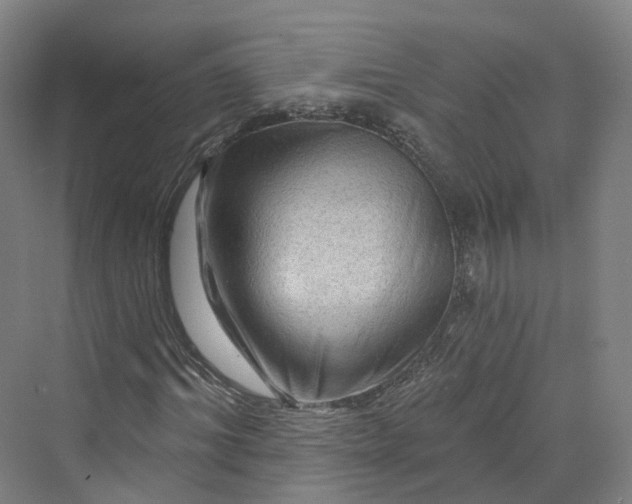 X0000069790964200606021409