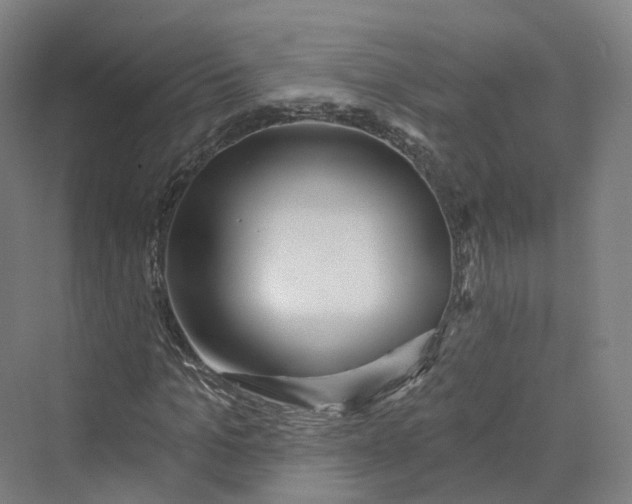 X0000069790965200606021409