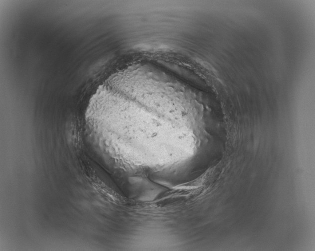 X0000069790966200606021409