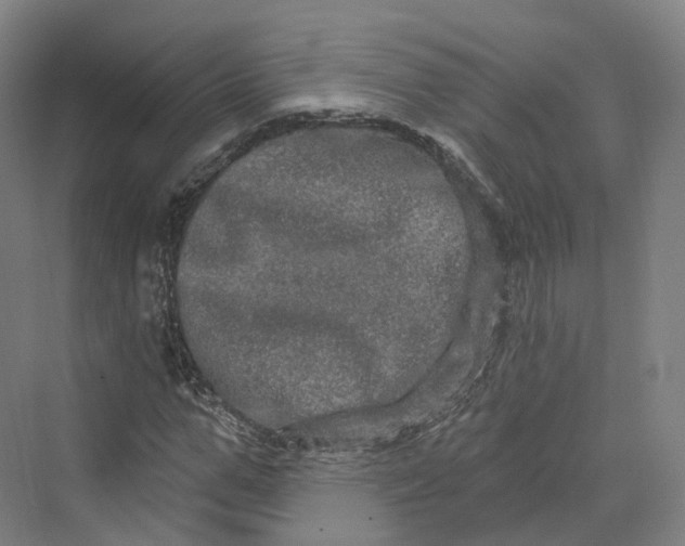 X0000069790967200606021409