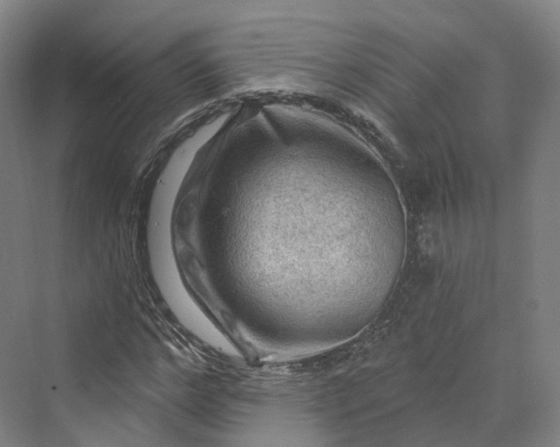 X0000069790968200606021409