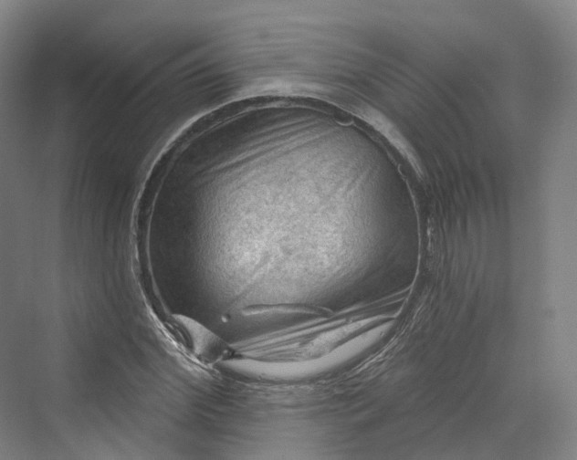 X0000069790972200606021409