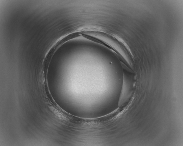 X0000069790973200606021409