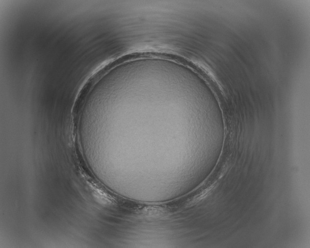 X0000069790974200606021409