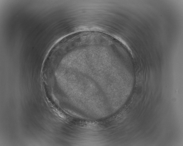 X0000069790975200606021409