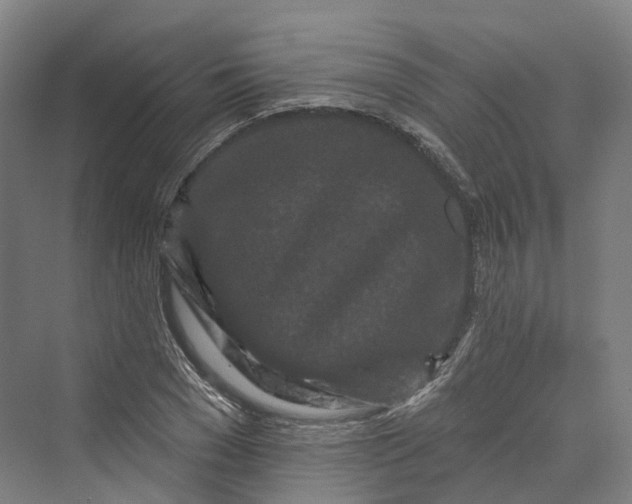 X0000069790977200606021409