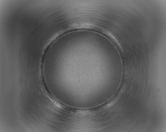 X0000069790978200606021409