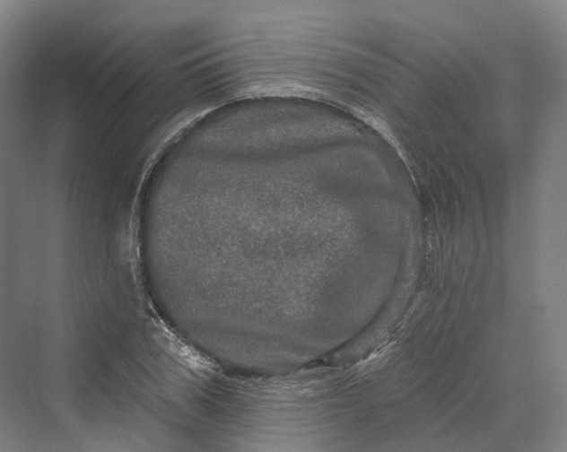 X0000069790979200606021409