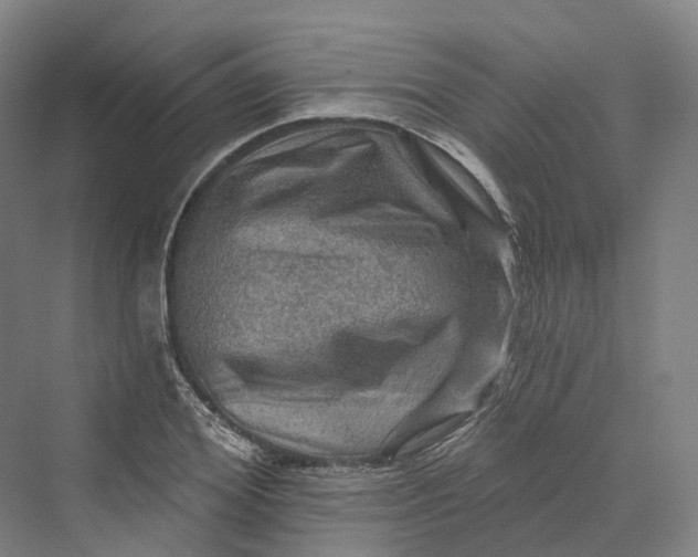 X0000069790980200606021409