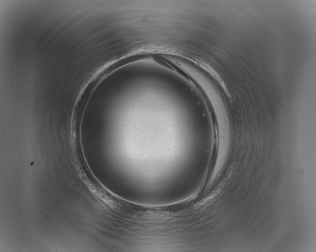 X0000069790981200606021409