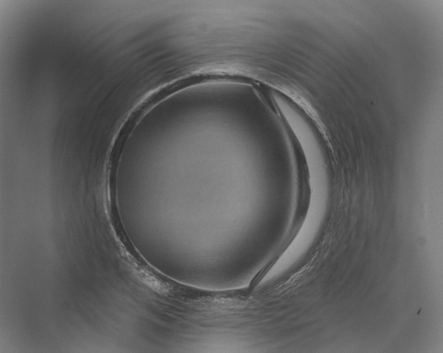 X0000069790984200606021409