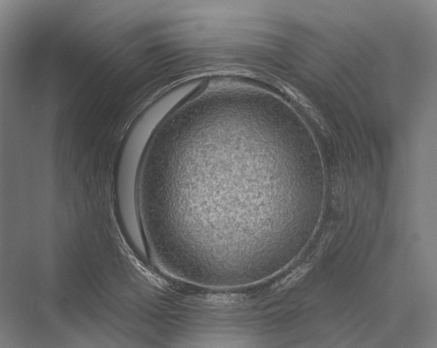 X0000069790985200606021408