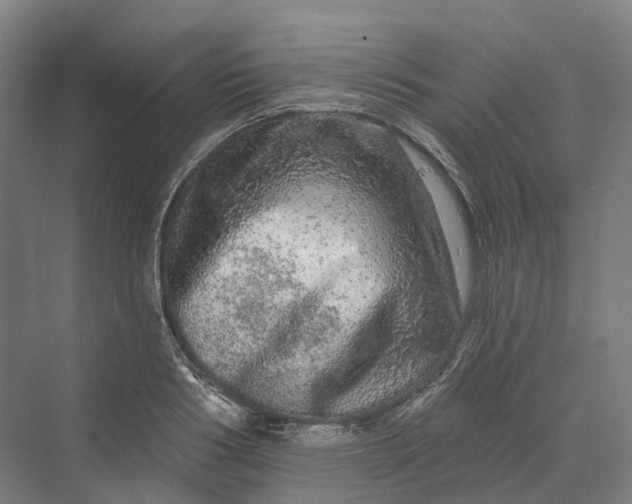 X0000069790986200606021408