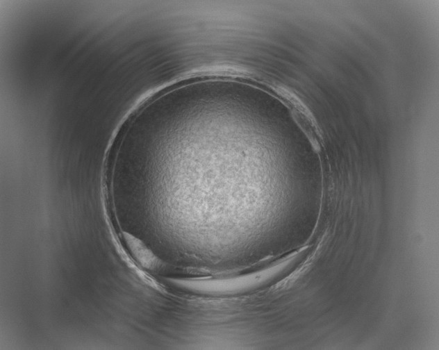 X0000069790989200606021408