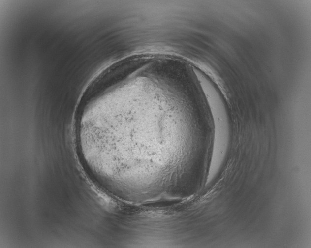 X0000069790990200606021408