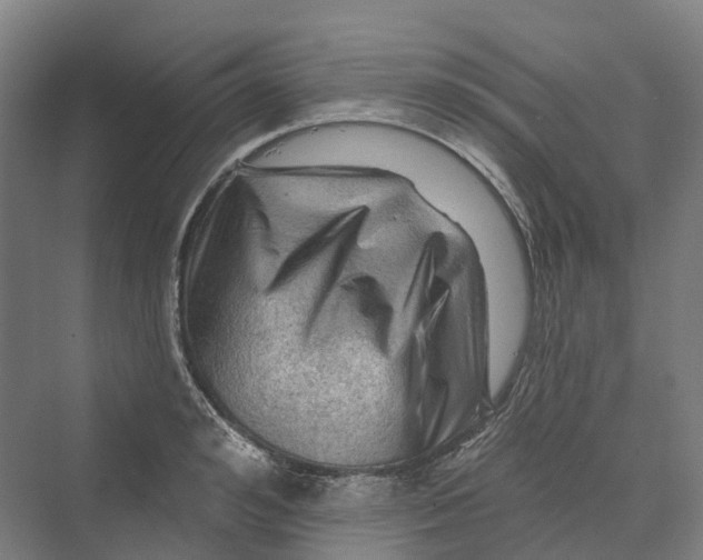 X0000069790992200606021408