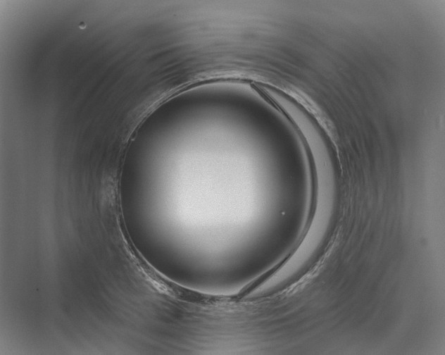 X0000069790993200606021408