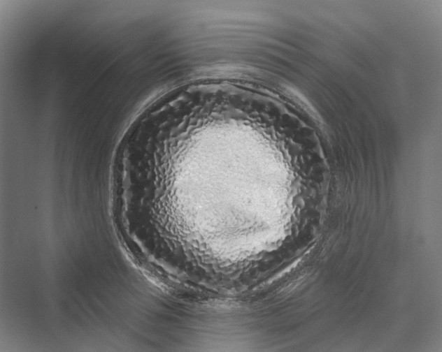 X0000069790994200606021408