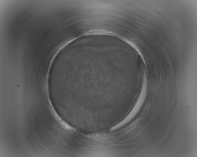 X0000069790995200606021408