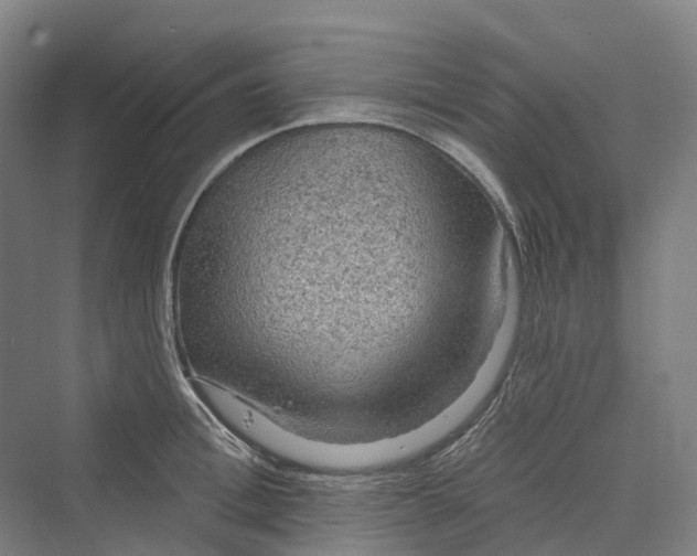 X0000069790996200606021408