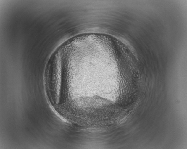 X0000069790998200606021408