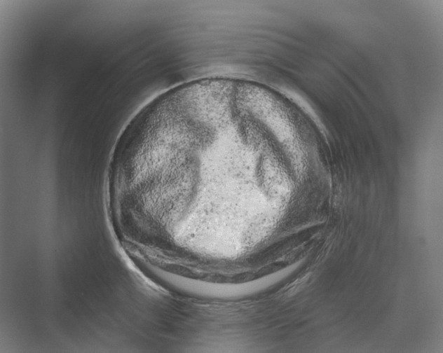 X0000069790999200606021408