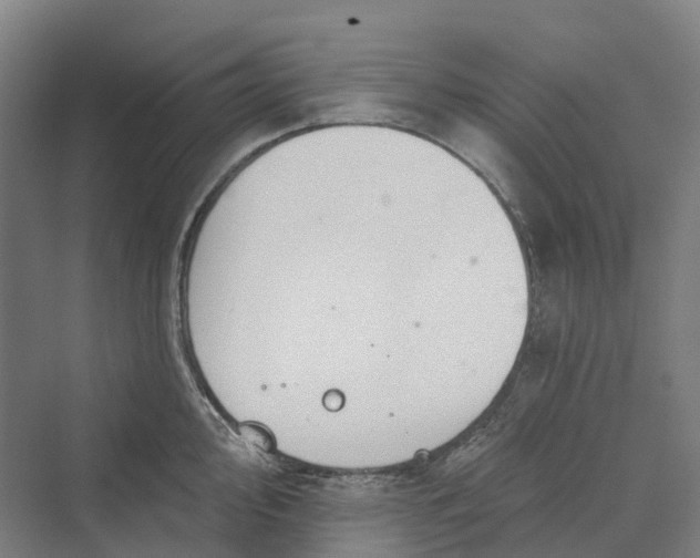 X0000069791000200606021408