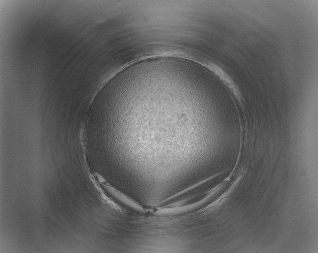 X0000069791001200606021408