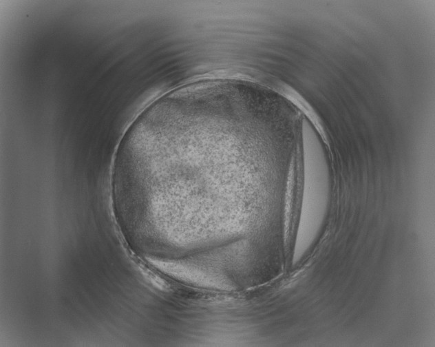 X0000069791002200606021408