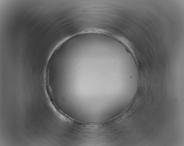 X0000069791003200606021408